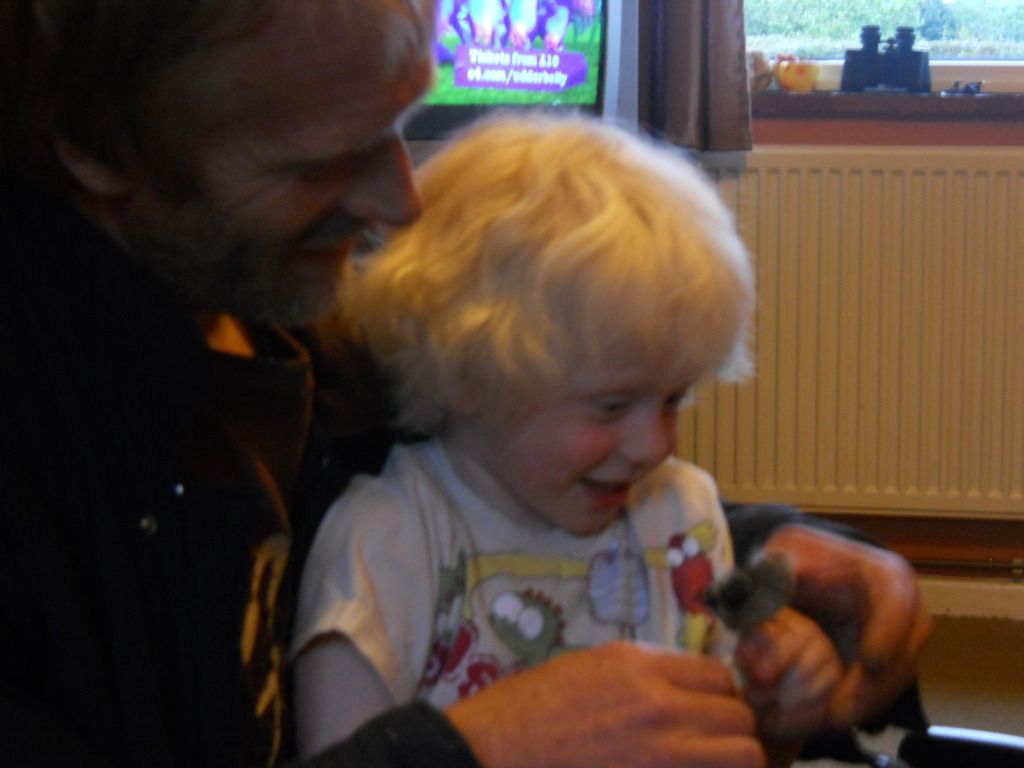 Picture235.jpg