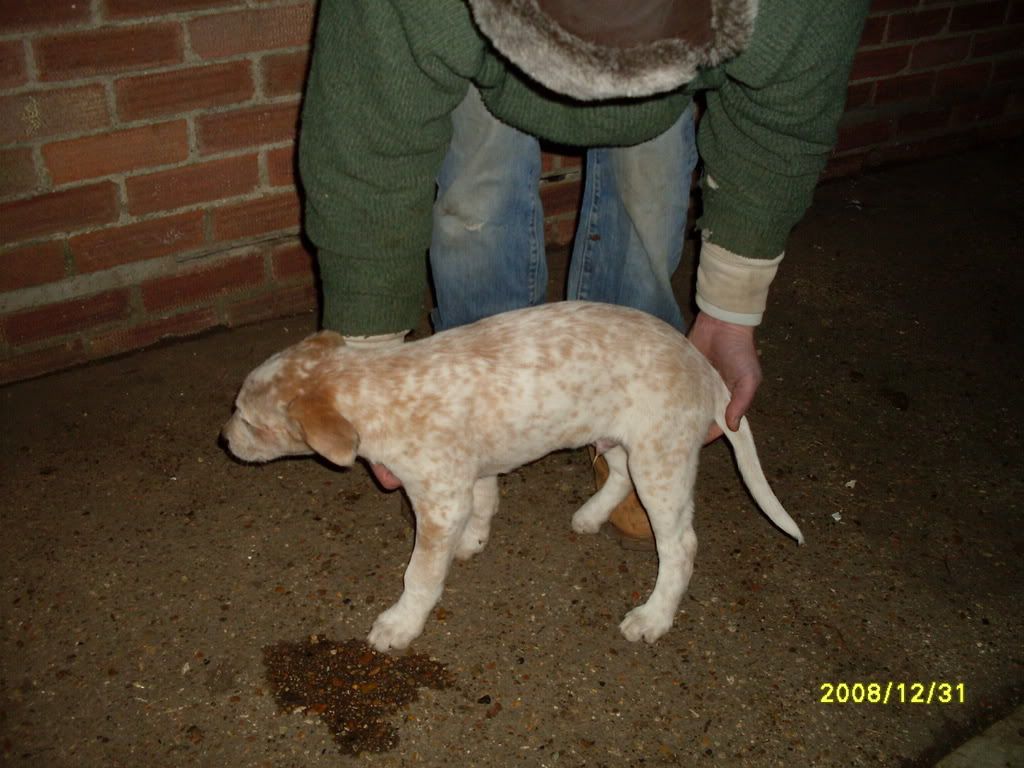 Picture318.jpg
