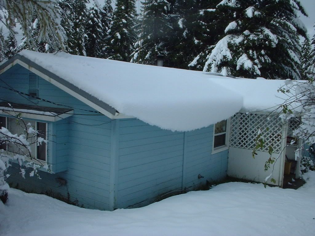 How many of you live relativity close to "trashy people"? - Homesteading Questions