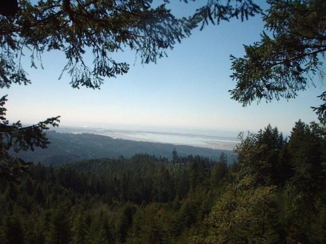 What are your targets when you practice shooting? - Survival & Emergency Preparedness