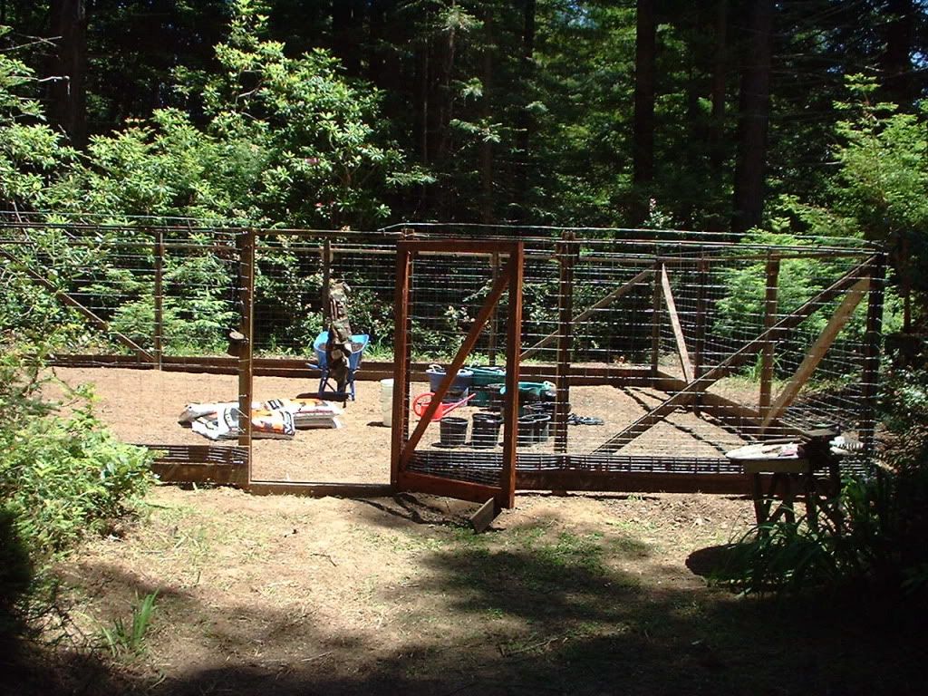 My chiken wire raised beds - Homesteading Questions