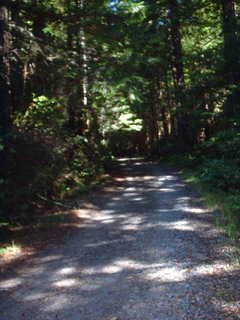 How private, is private enough? - Homesteading Questions