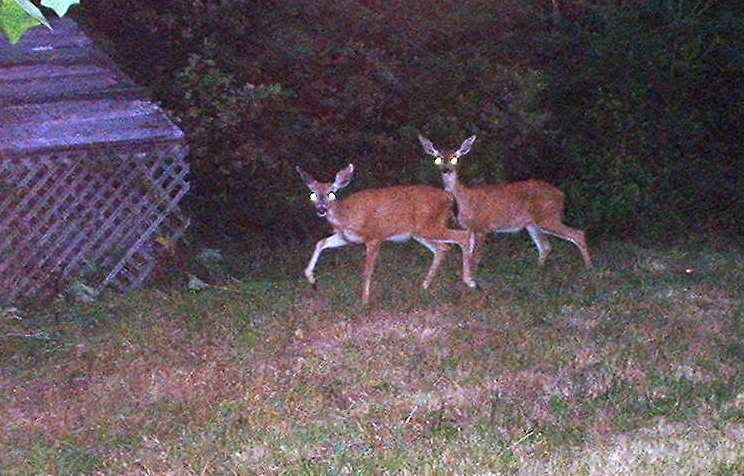 Why live in the boonies? - General Chat