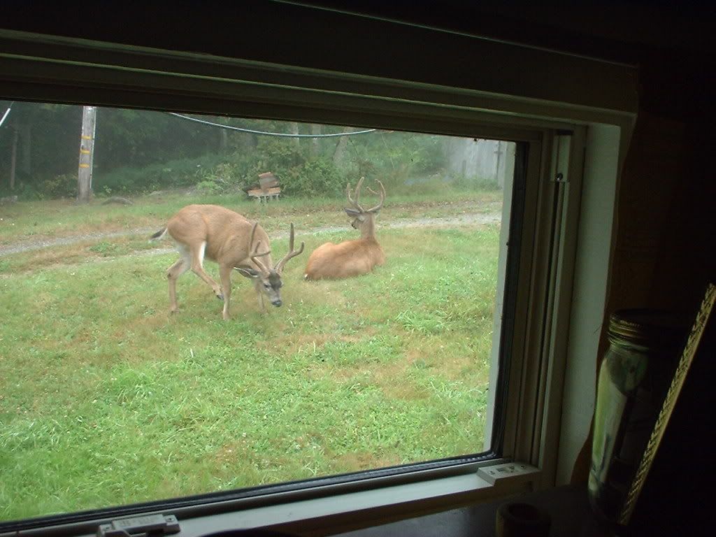 Why live in the boonies? - General Chat