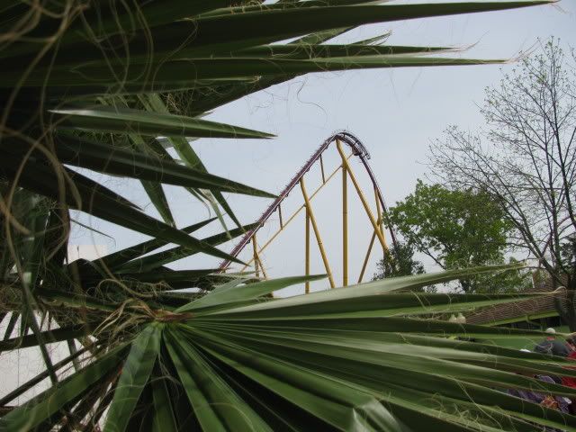 KingsIsland623.jpg