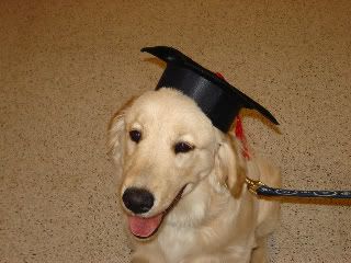 BaileyGraduation-1.jpg