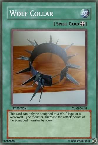 WolfCollar.jpg