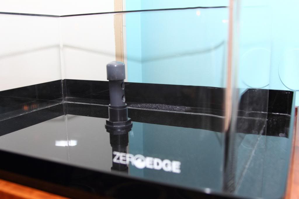 zeroedgecloseup_zps5b6c98f7.jpg