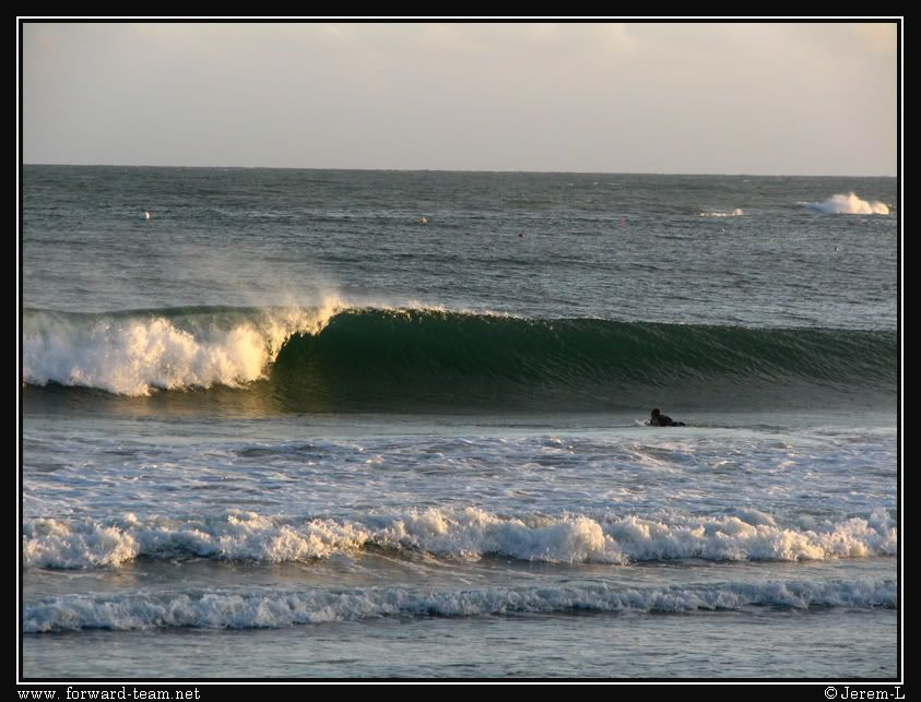 http://i207.photobucket.com/albums/bb258/Jerem-forward/CopiedeIMG_6696copie.jpg