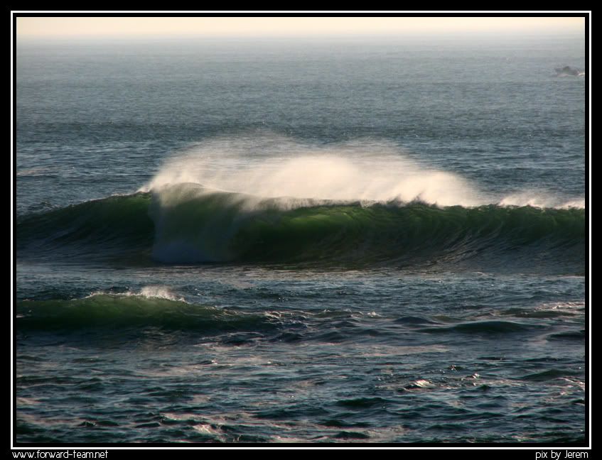 http://i207.photobucket.com/albums/bb258/Jerem-forward/IMG_0169copie.jpg