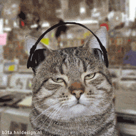 image004.gif image by darkinteriority