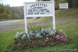 Galletta's Greenhouse & Speedway sign