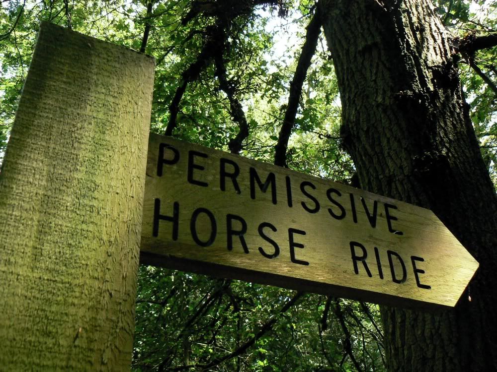 sign-horses.jpg