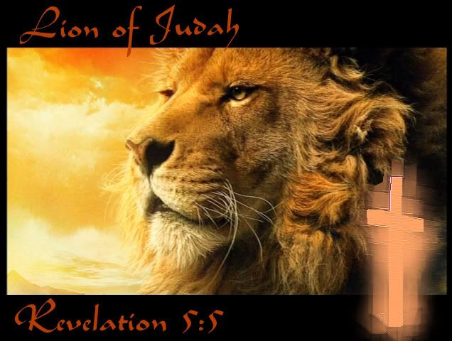 Lion of judah Pictures, Images and Photos