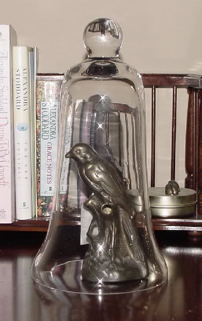 a bell jar