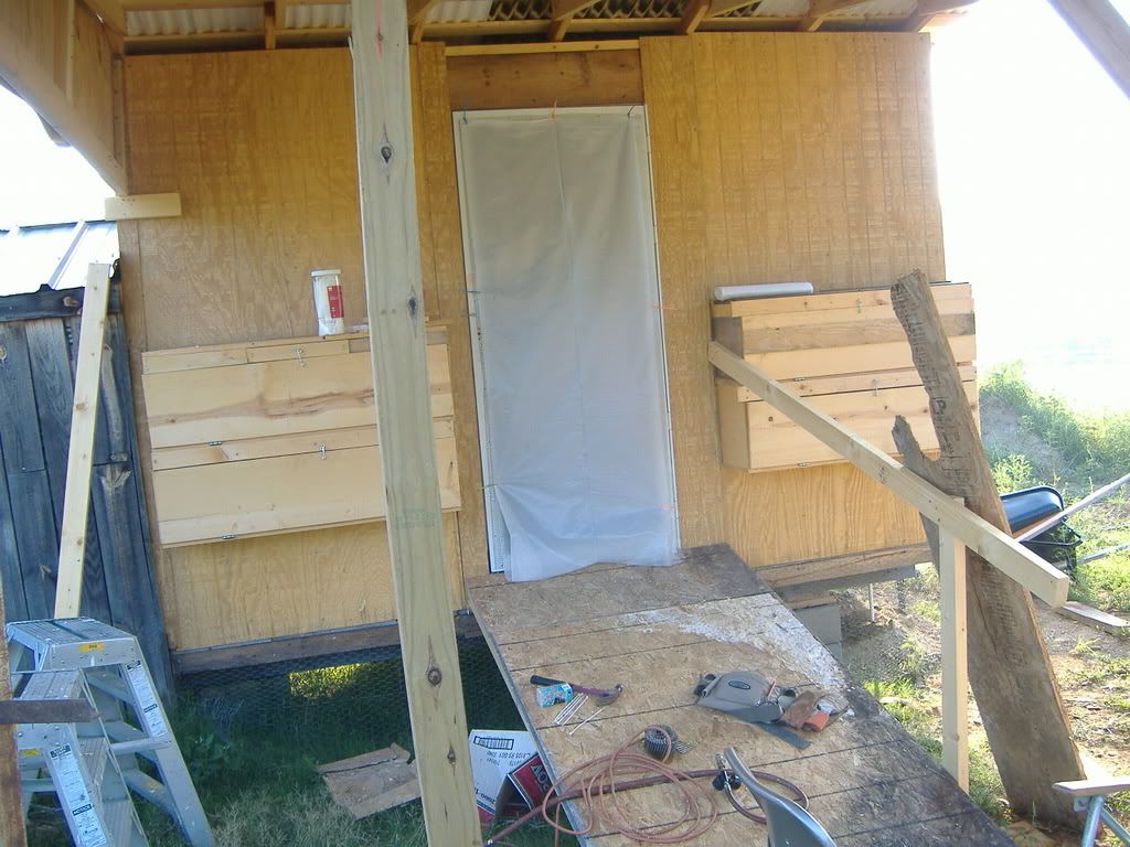 Starting over! PICS! - Homesteading Questions