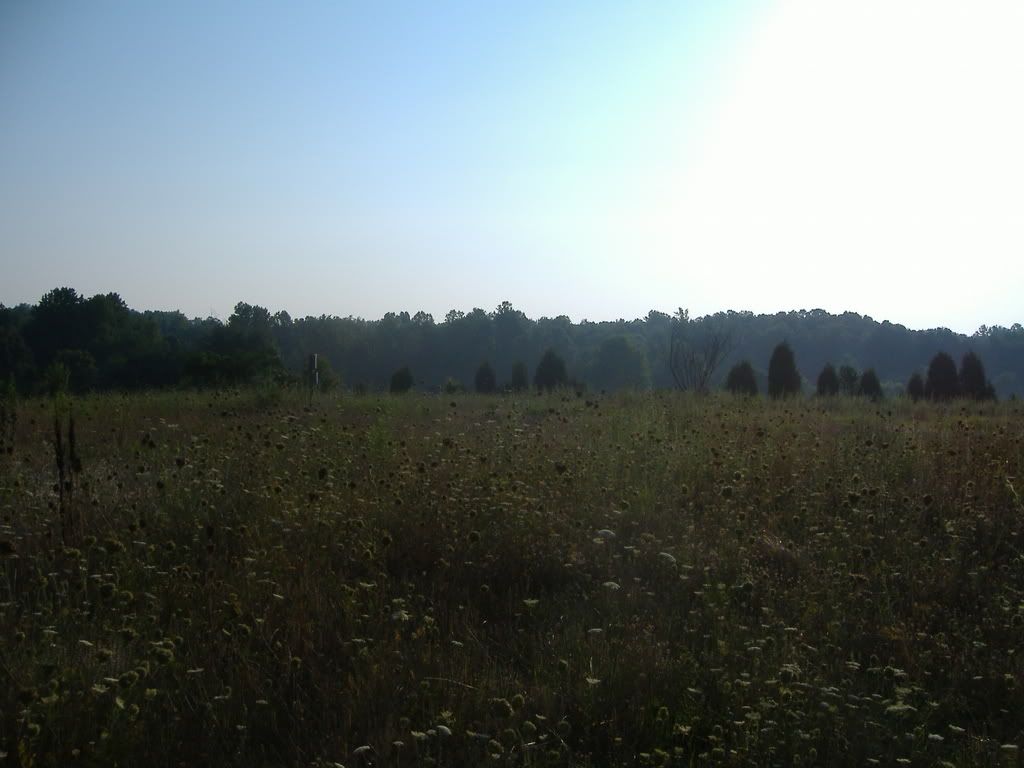 Starting over! PICS! - Homesteading Questions