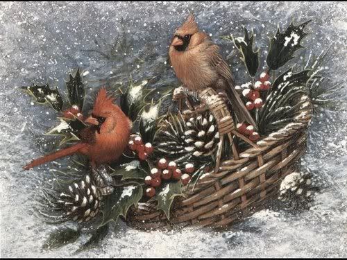  photo winter-cardinals-header.jpg