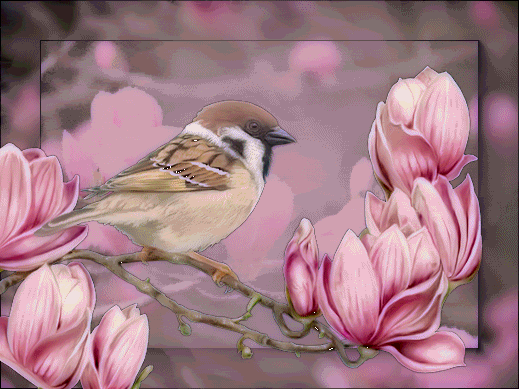  photo a922c9dc4ee83010b94e562.gif