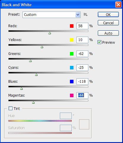 IMAGE: http://i207.photobucket.com/albums/bb29/slammeddub/bandw.jpg