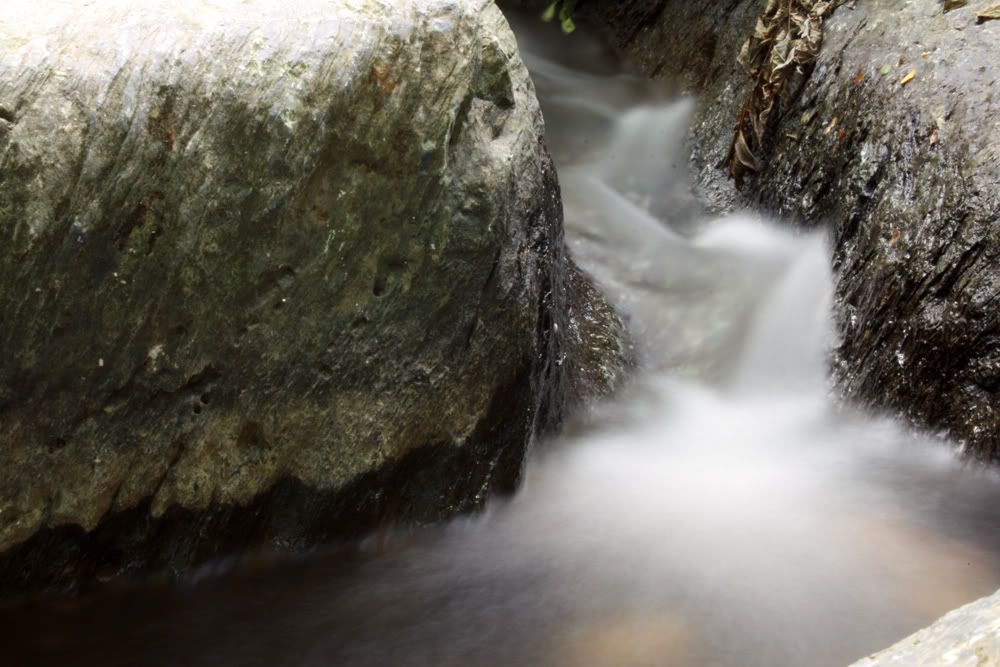 IMAGE: http://i207.photobucket.com/albums/bb29/slammeddub/creekandleah032web.jpg