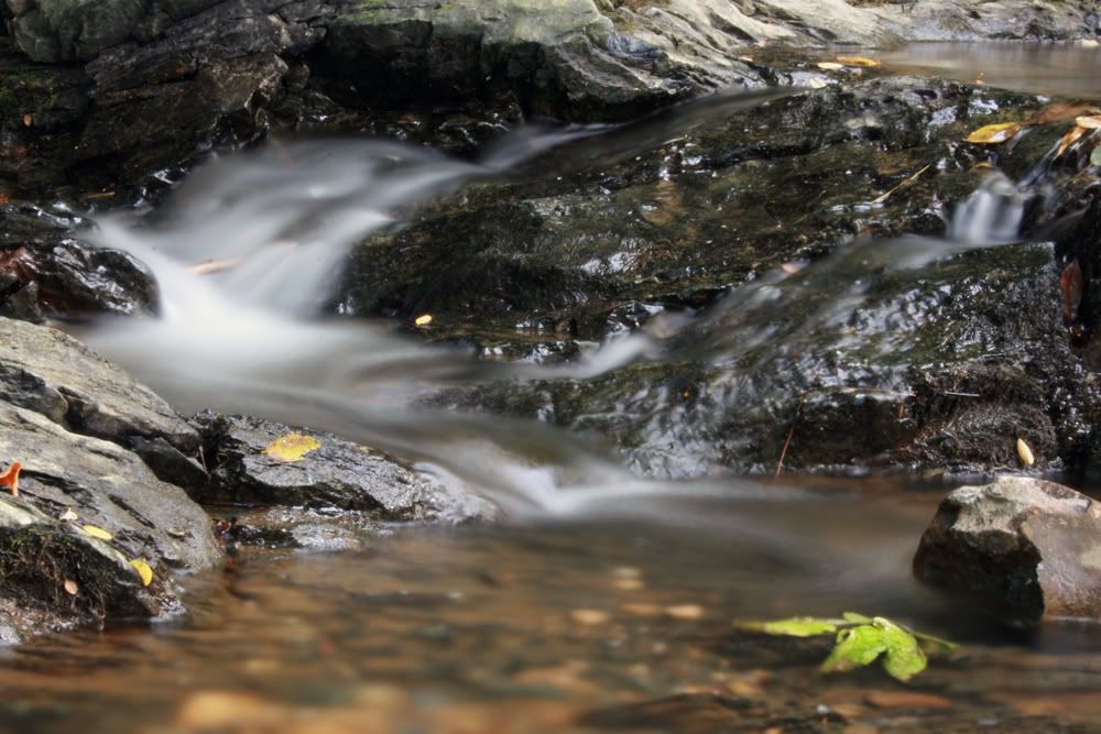 IMAGE: http://i207.photobucket.com/albums/bb29/slammeddub/creekandleah035web.jpg