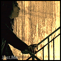 15da1081b45a-1.gif picture by EvelynKaulitz10