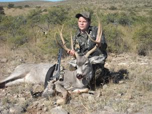 Mule Deer