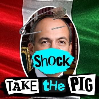 shock take the pig