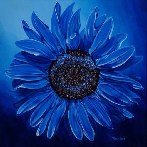 sunflower20blue20500.jpg