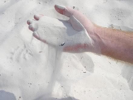 sandhand.jpg picture by tuckgraph