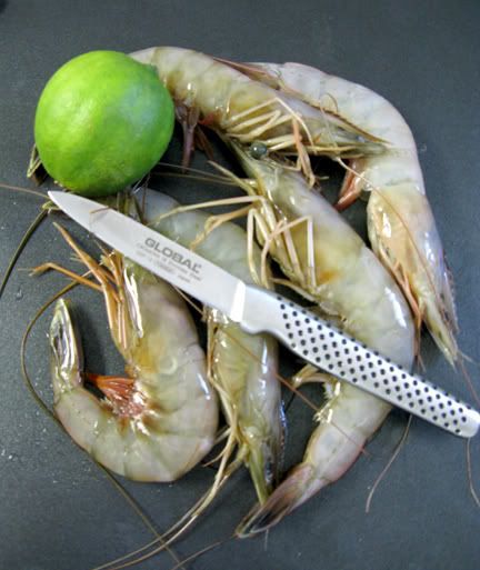 shrimpbig.jpg picture by tuckgraph