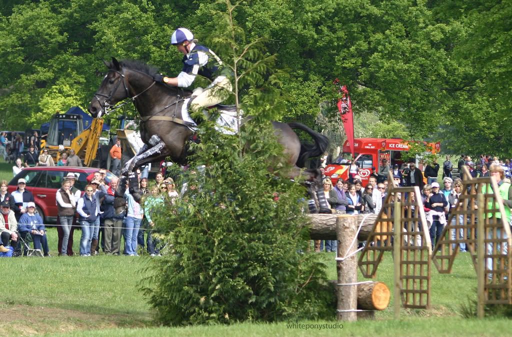 Opposition Buzz ridden by Nicola Wilson at the Vicarage Vee