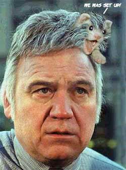 traficant hair Pictures, Images and Photos