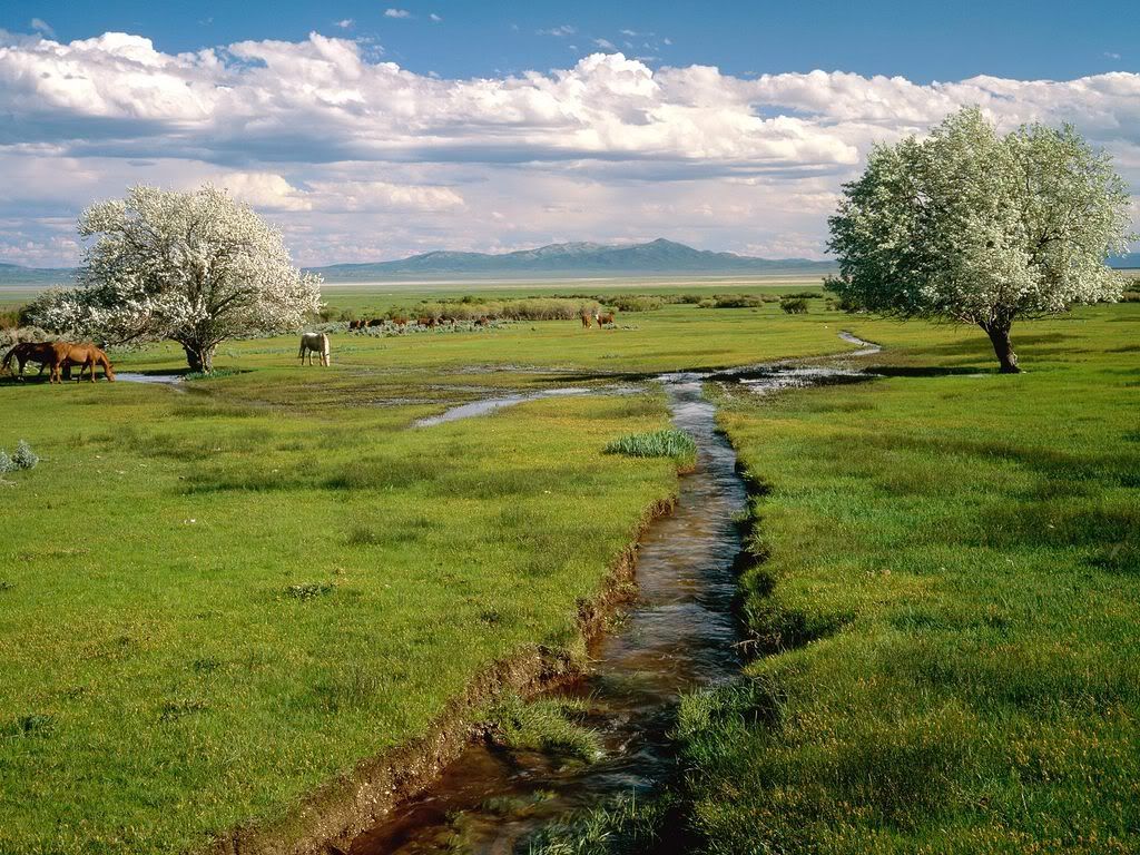 RubyValleyNevada.jpg