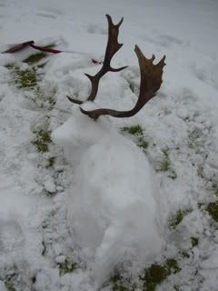 Snow deer 2