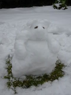 Snow bear