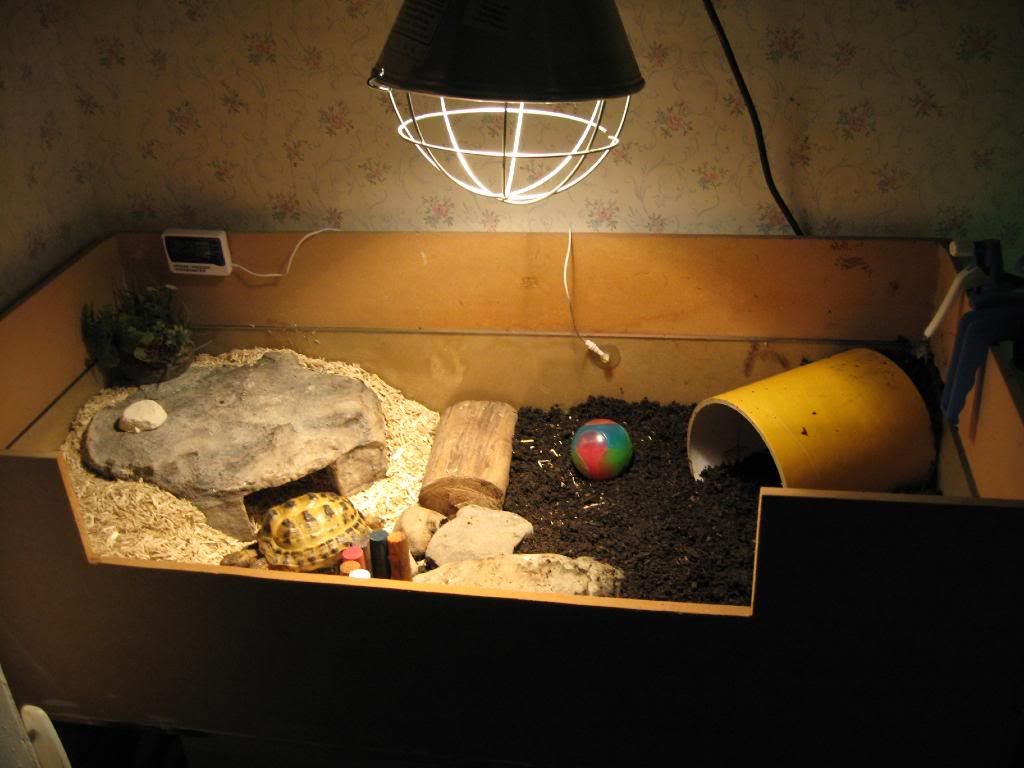 Pet Turtle Enclosure