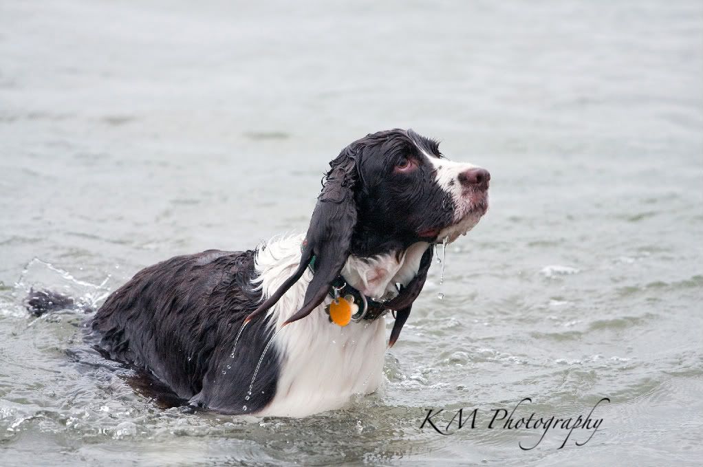 IMAGE: http://i207.photobucket.com/albums/bb53/craazydays/20100522_RioCagsCottage_0050_edi-3.jpg