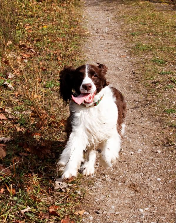 IMAGE: http://i207.photobucket.com/albums/bb53/craazydays/IMG_0003_DxO_raw-1-1.jpg