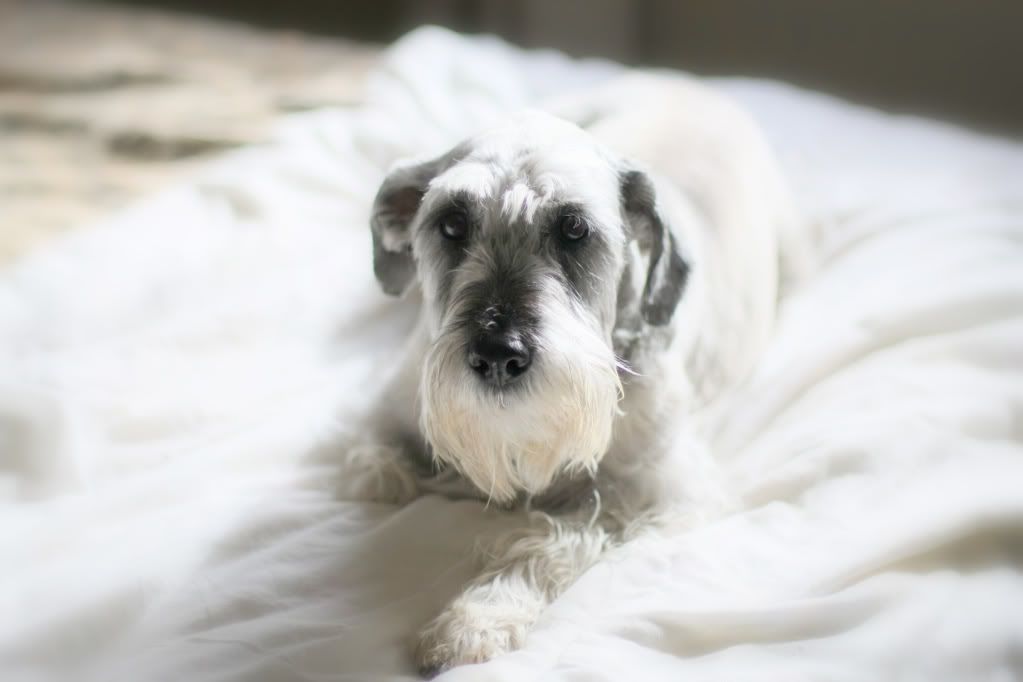 IMAGE: http://i207.photobucket.com/albums/bb53/craazydays/IMG_0004_DxO-1.jpg