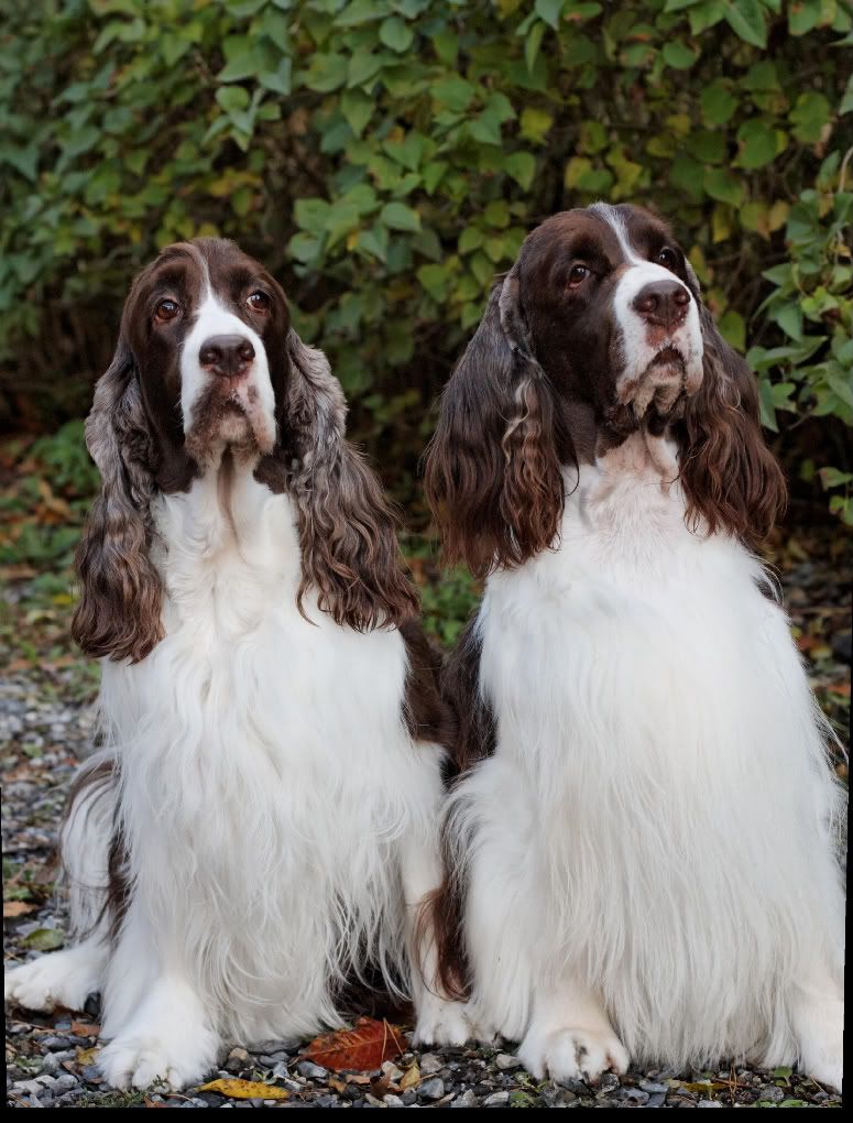 IMAGE: http://i207.photobucket.com/albums/bb53/craazydays/IMG_0024_DxO_raw-1-1.jpg