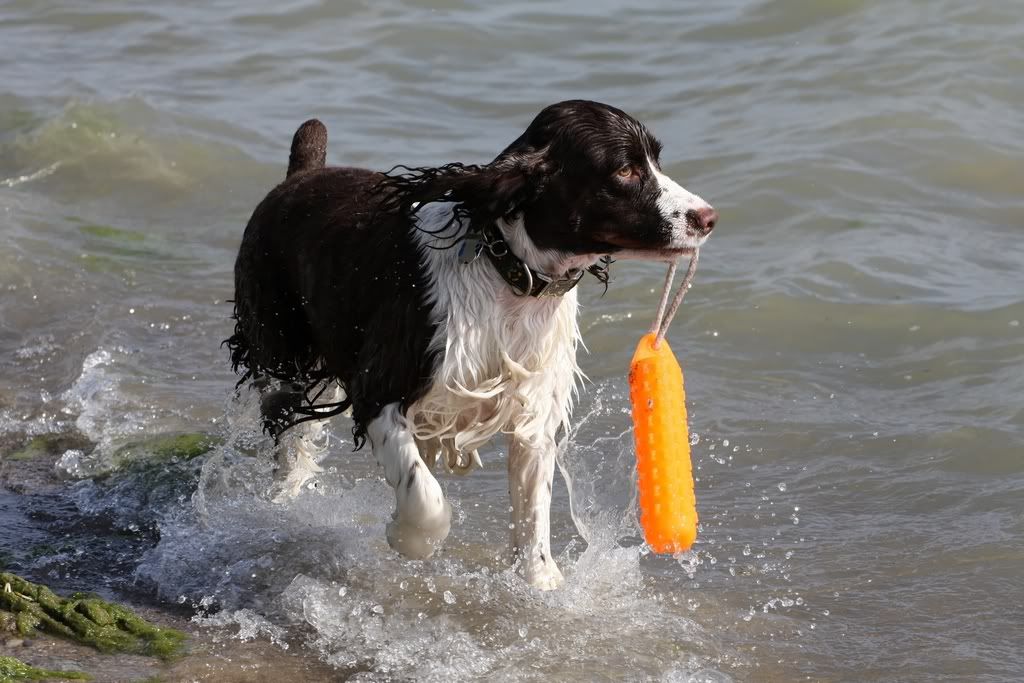 IMAGE: http://i207.photobucket.com/albums/bb53/craazydays/IMG_0060_DxO-1.jpg