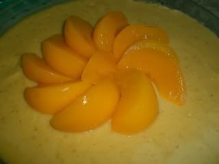 puding Pictures, Images and Photos
