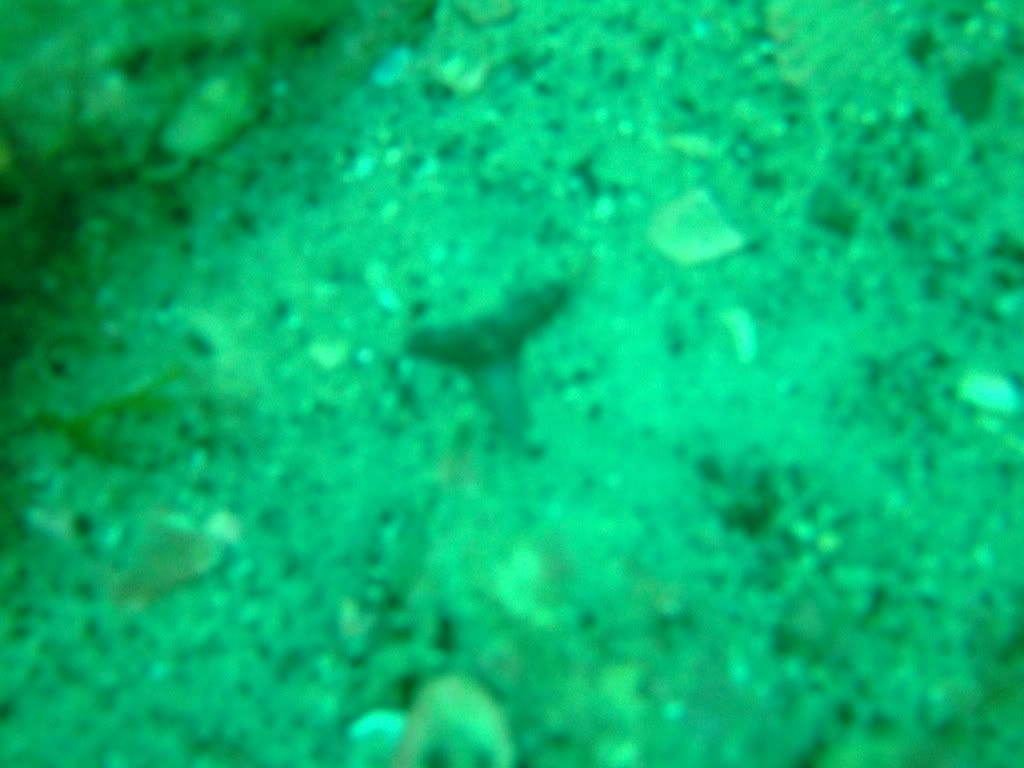 DSCF2156.jpg