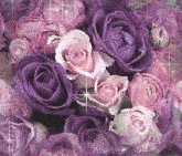 flowers glitter Pictures, Images and Photos