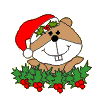 th_CRISMA35181817171817171721171717.gif