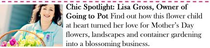Chic Spotlight: Lisa Gross, Owner of Going to Pot