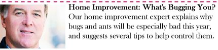 Home Improvement: What's Bugging You?