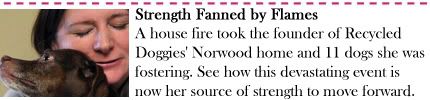 Strength Fanned by Flames